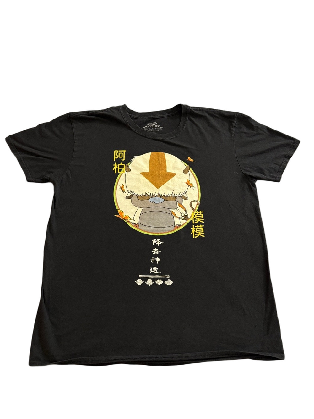Avatar The Last Airbender Appa Kanji Graphic T Shirt Black Men’s XL